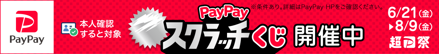 PayPaymoeΥХåʸ