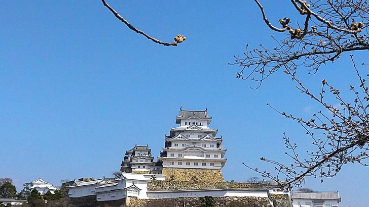 桜開花前の姫路城三の丸広場